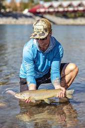 Fly Fishing Bow River