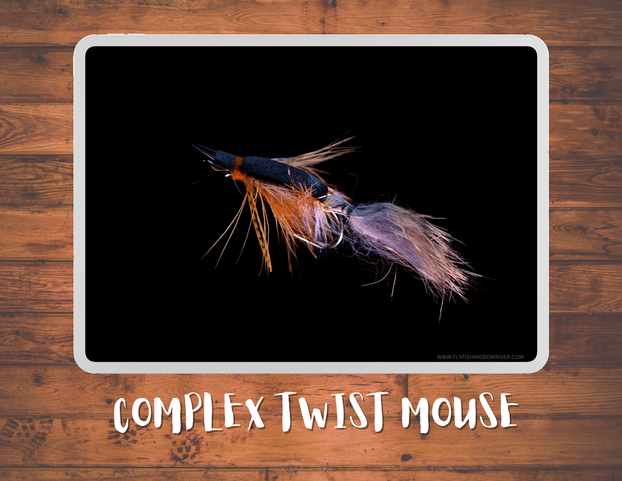 Complex Twist Mouse Fly Pattern