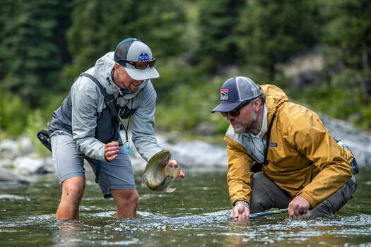 Walk and Wade - FLY FISHING BOW RIVER OUTFITTERS